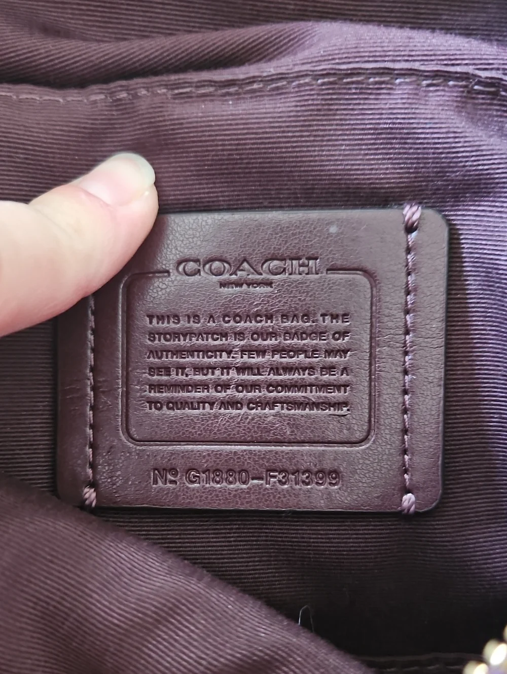 Coach elle hobo